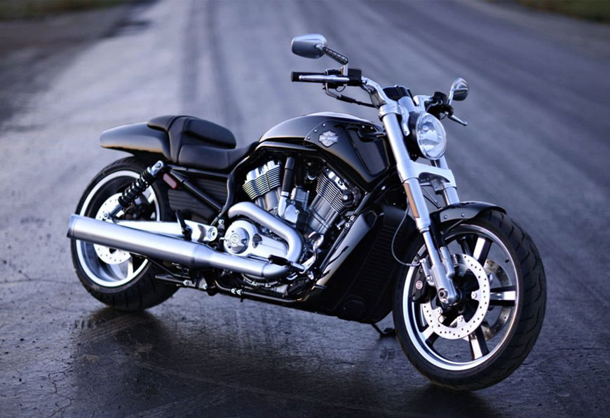 Christmas Sale is here 7