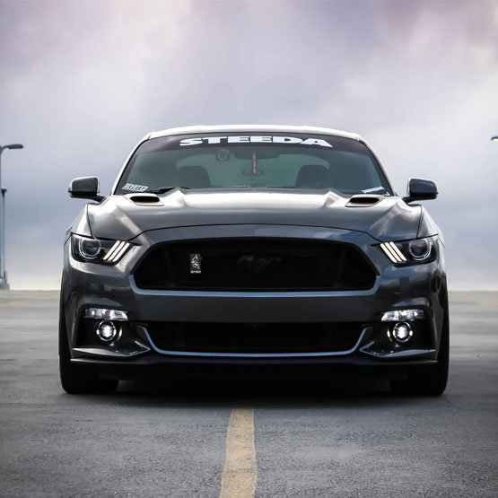 Contact Banner Image